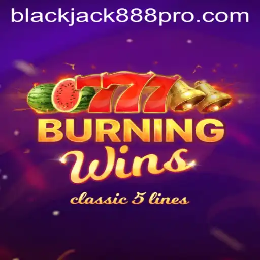Exploring Burning Wins: A Classic Casino Adventure